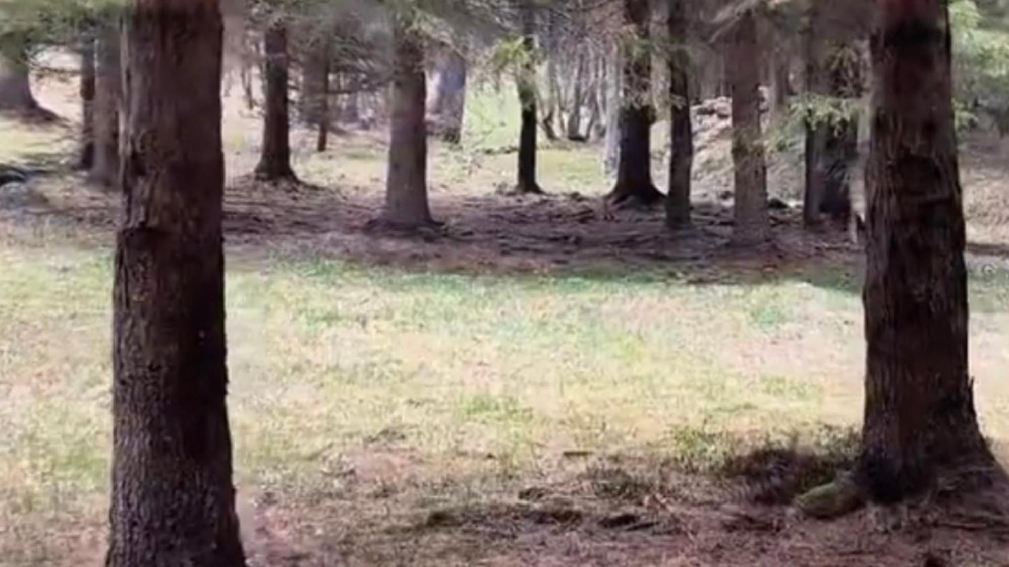 Im Spiss Διαμέρισμα Macugnaga Εξωτερικό φωτογραφία